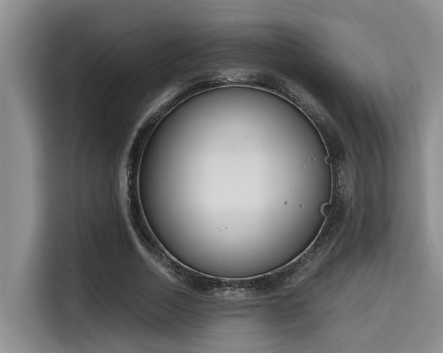 X0000115660730200911191004