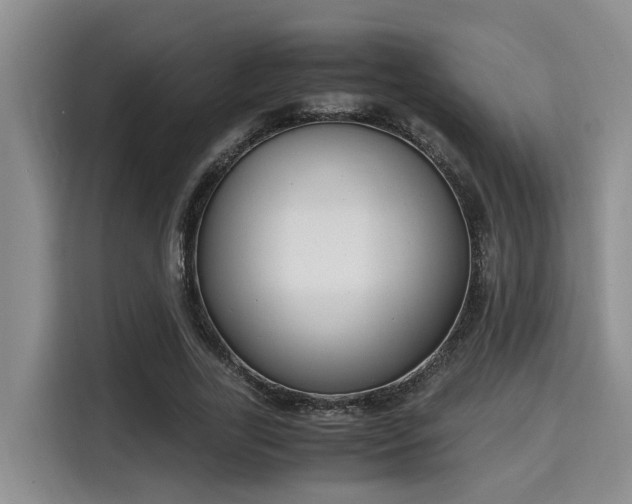 X0000115660731200911191004