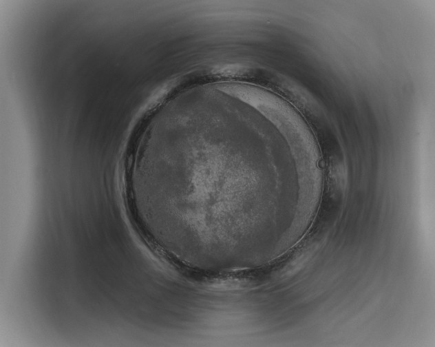 X0000115660734200911191004