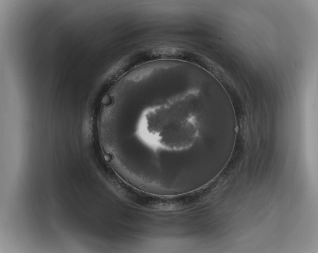 X0000115660735200911191005