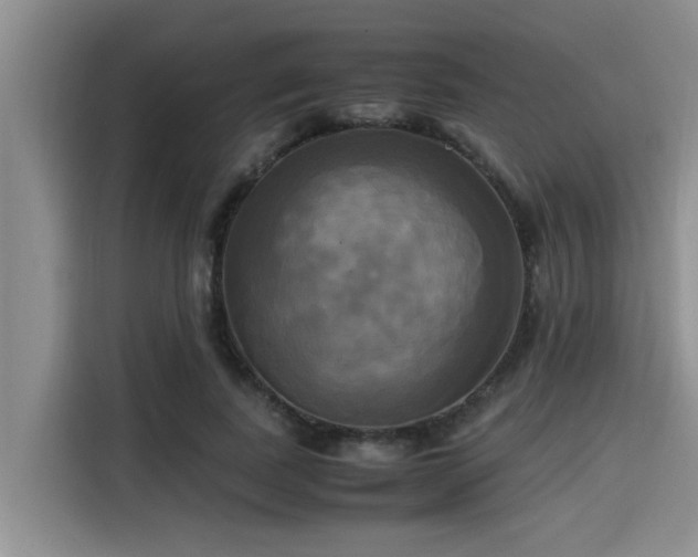 X0000115660739200911191005