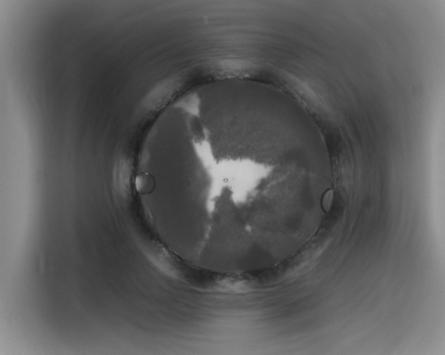X0000115660742200911191005