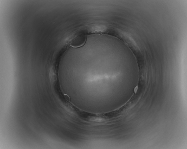 X0000115660743200911191005