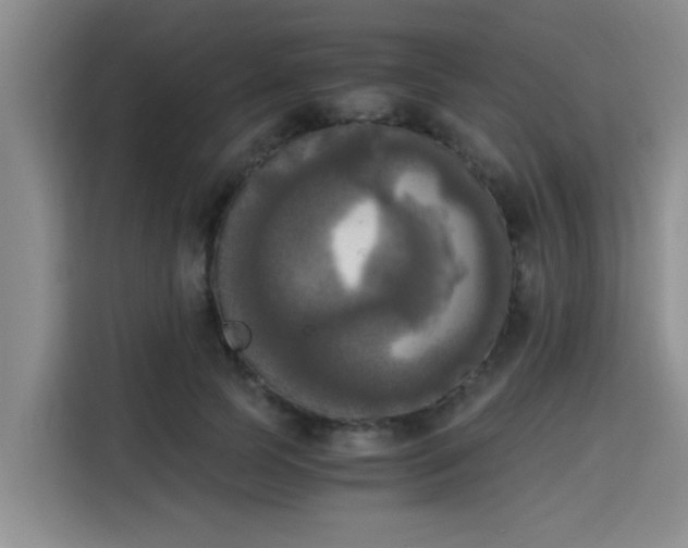 X0000115660745200911191005