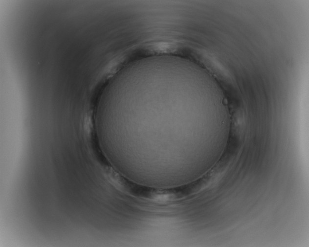 X0000115660746200911191005