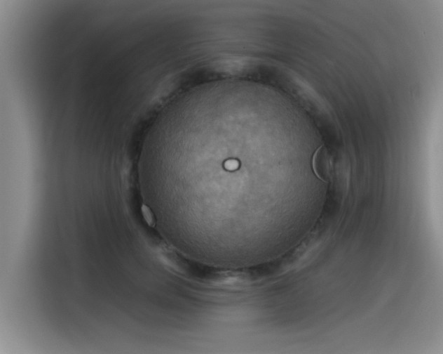 X0000115660750200911191005