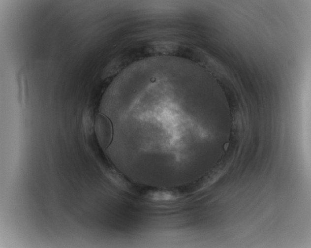 X0000115660751200911191005