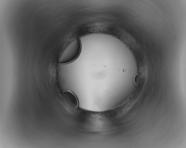 X0000115660753200911191005