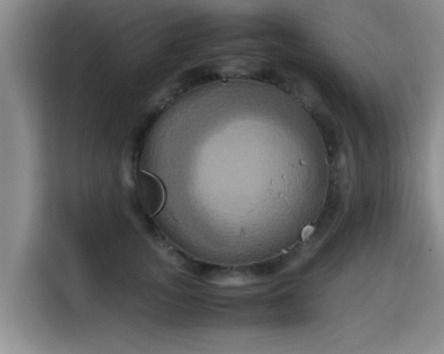 X0000115660755200911191005