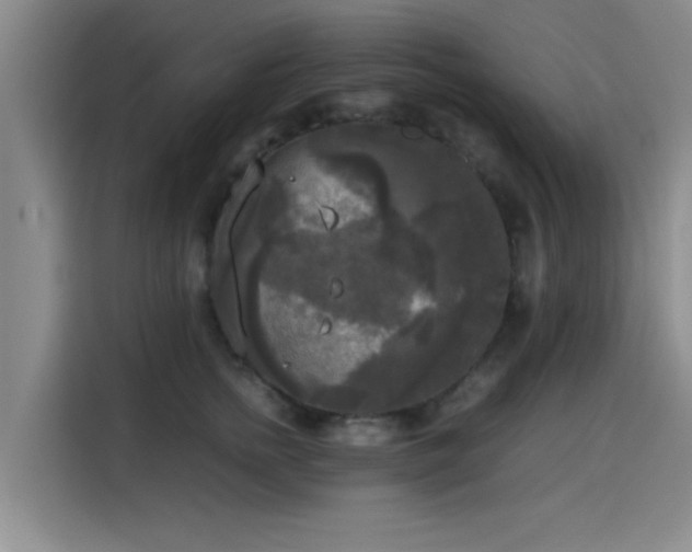X0000115660758200911191005