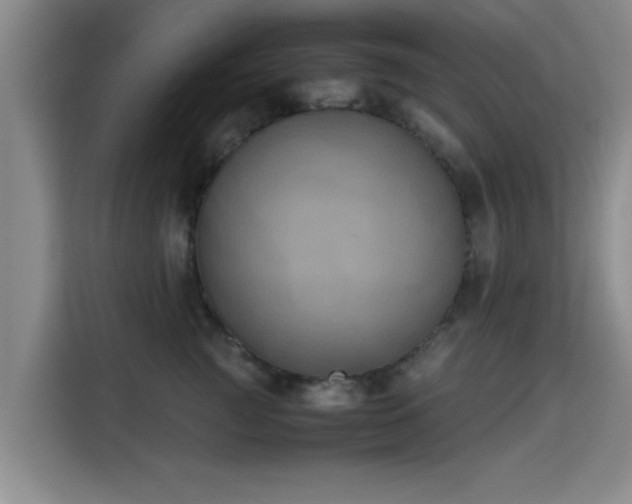 X0000115660761200911191005