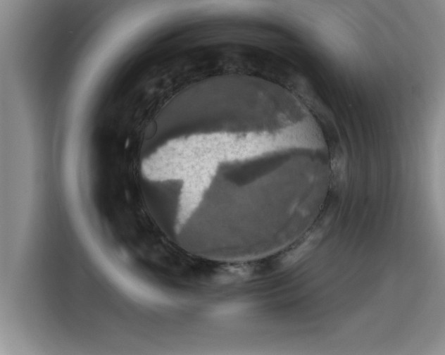 X0000115660765200911191005