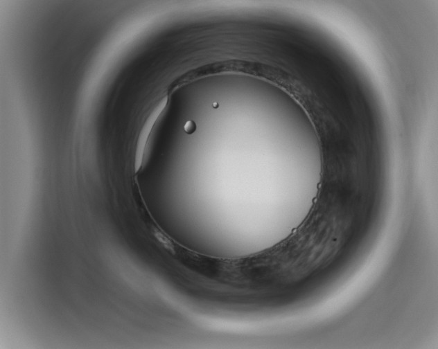 X0000115660766200911191005