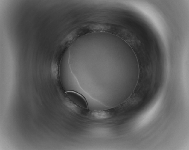 X0000115660767200911191005