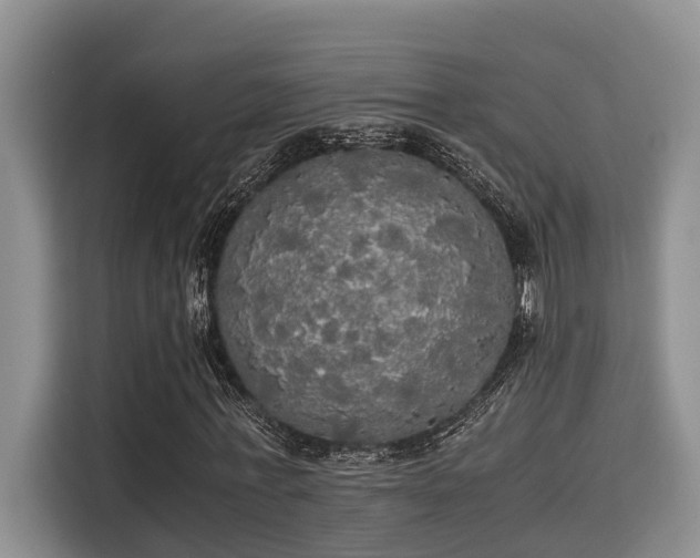 X0000115660771200911191004