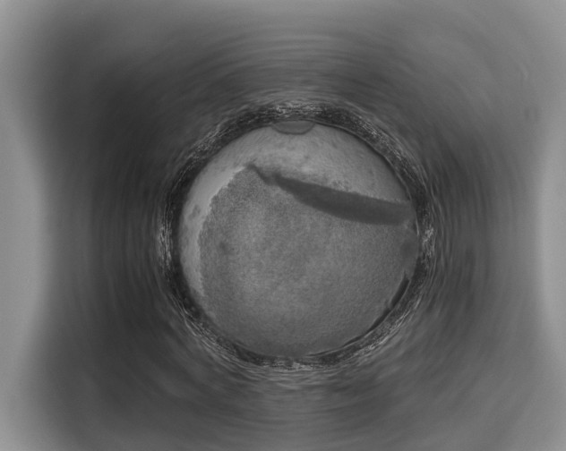 X0000115660772200911191004