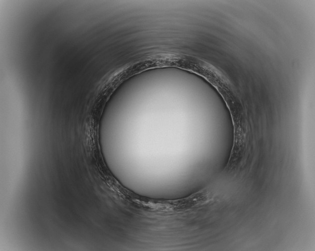 X0000115660773200911191004