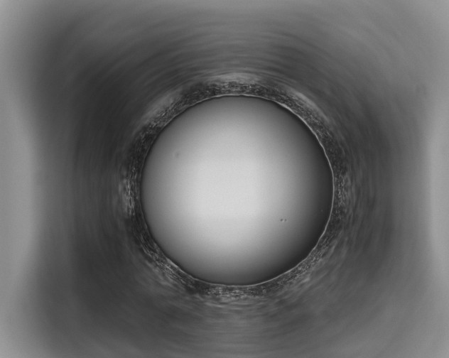 X0000115660774200911191004