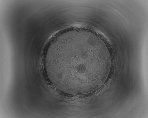 X0000115660776200911191004