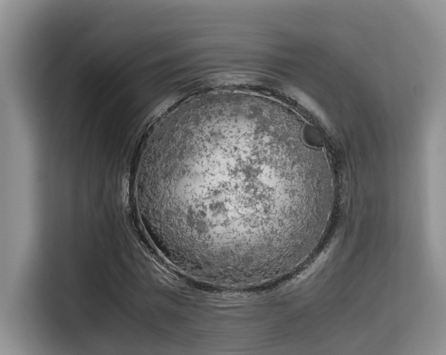 X0000115660777200911191004