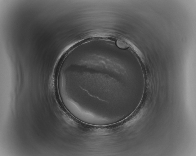 X0000115660779200911191004