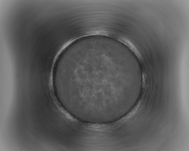 X0000115660780200911191004