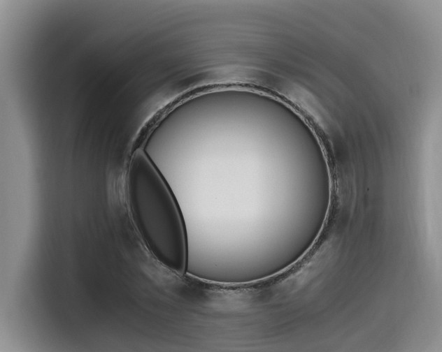 X0000115660781200911191004