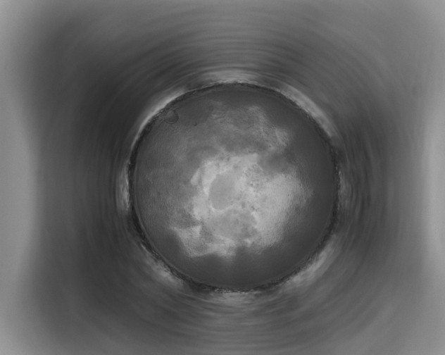 X0000115660782200911191004