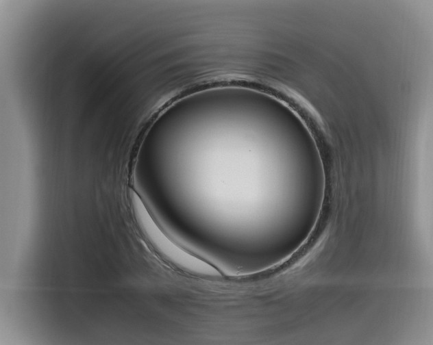 X0000115660785200911191004