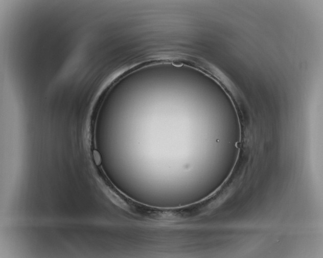 X0000115660787200911191004