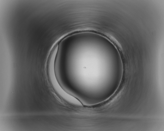 X0000115660789200911191004