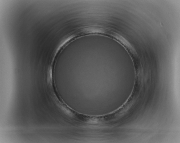 X0000115660790200911191004
