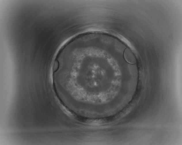 X0000115660791200911191004