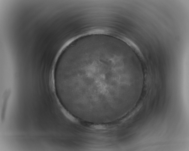 X0000115660792200911191004