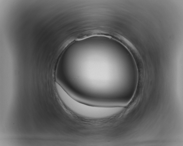 X0000115660793200911191004