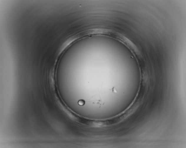 X0000115660794200911191004