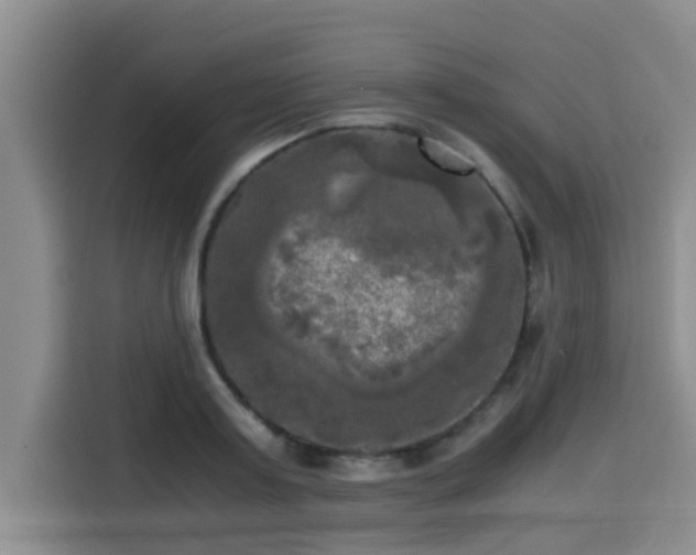 X0000115660795200911191004