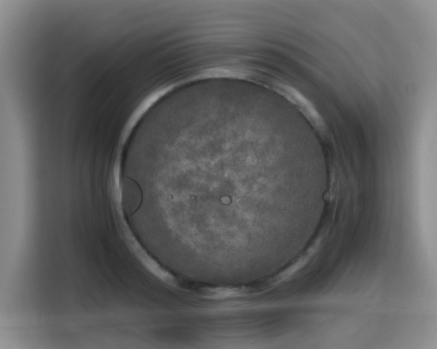 X0000115660796200911191004