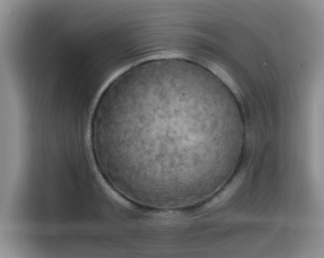 X0000115660797200911191004