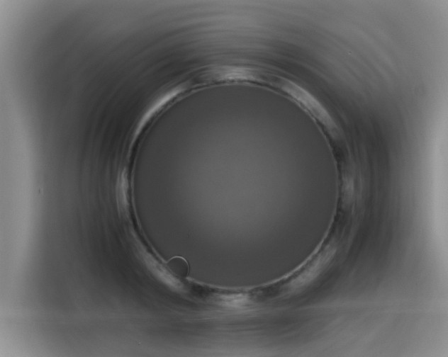 X0000115660798200911191004