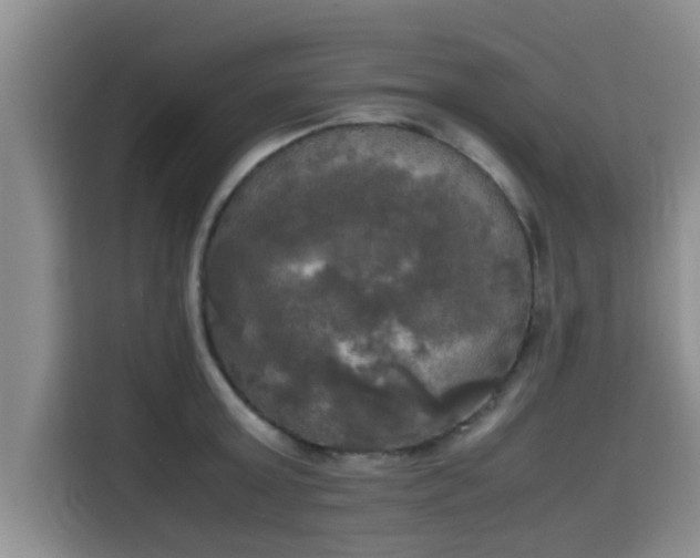 X0000115660803200911191004