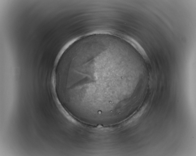 X0000115660804200911191004