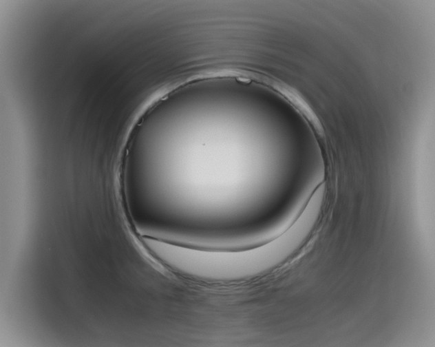 X0000115660805200911191004