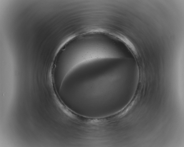 X0000115660806200911191004