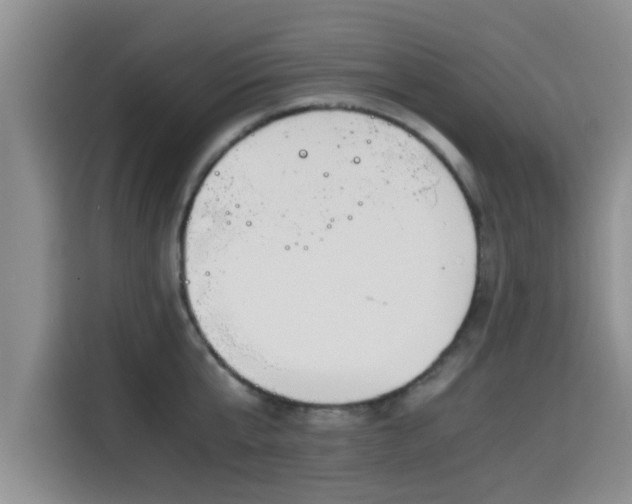 X0000115660807200911191004