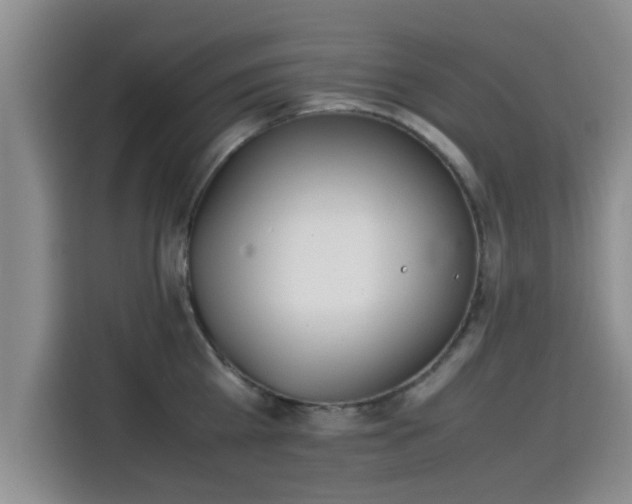 X0000115660809200911191004