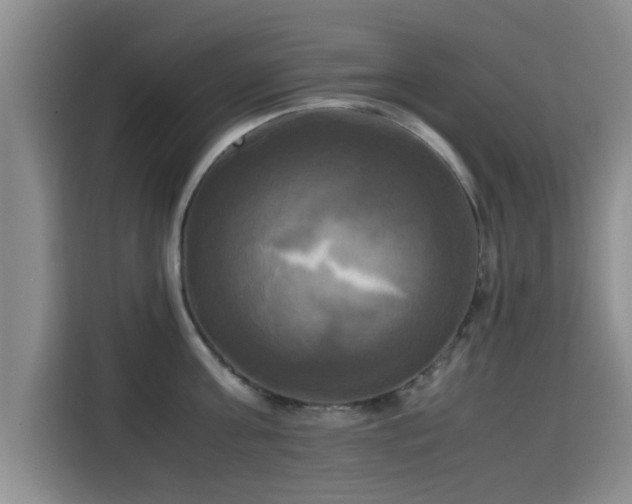 X0000115660811200911191004