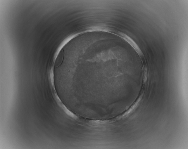 X0000115660812200911191004