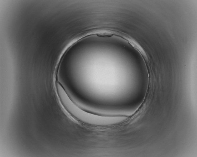 X0000115660813200911191004