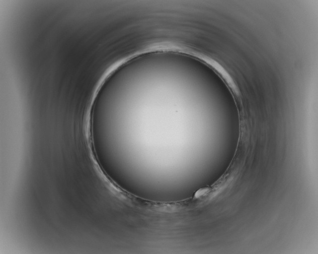X0000115660815200911191004